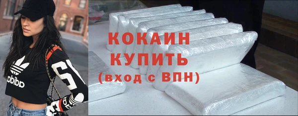 молекула духа Богданович