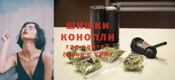 молекула духа Богданович