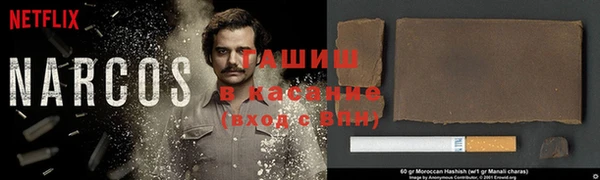 молекула духа Богданович