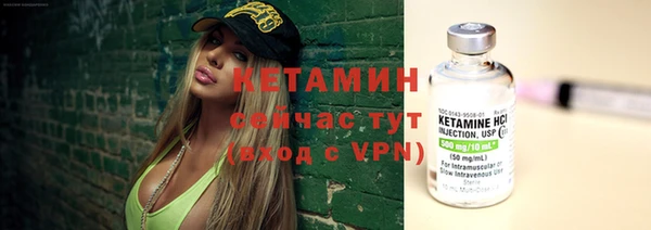 молекула духа Богданович