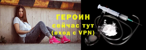 молекула духа Богданович