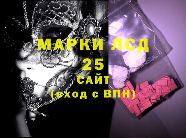 молекула духа Богданович