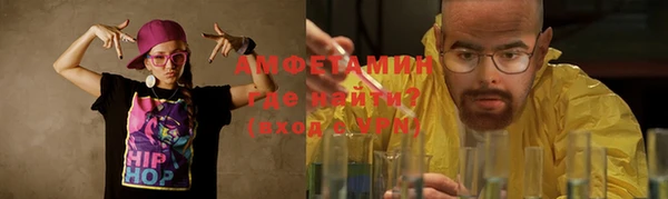 молекула духа Богданович