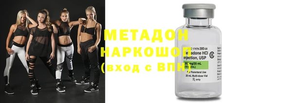 молекула духа Богданович