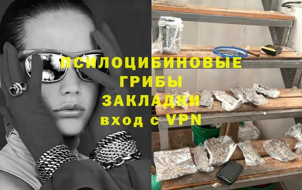 молекула духа Богданович