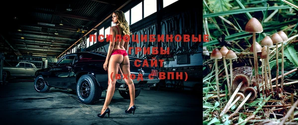 метадон Богородицк