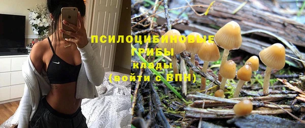 прущая мука Богородск