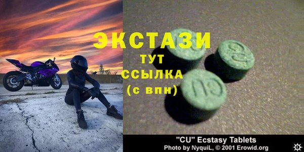 молекула духа Богданович
