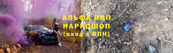 молекула духа Богданович