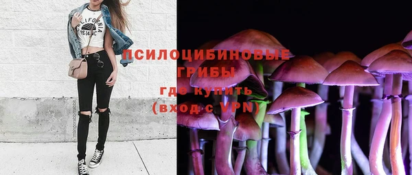 прущая мука Богородск