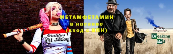 молекула духа Богданович