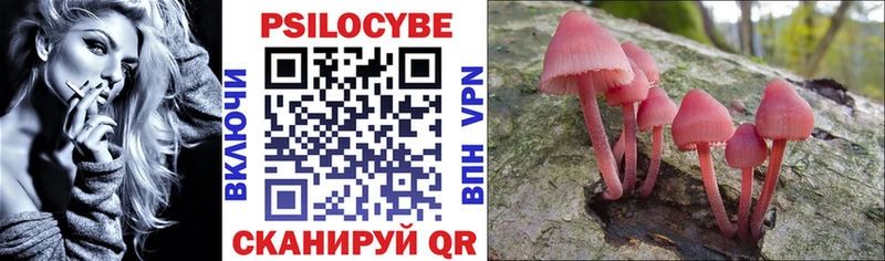 Купить закладки  Орлов  Псилоцибиновые грибы Magic Shrooms 